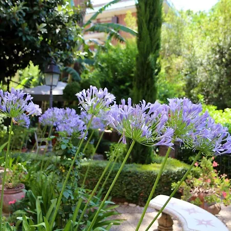 Matissa Apartment Rom